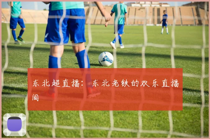 东北超直播：东北老铁的欢乐直播间