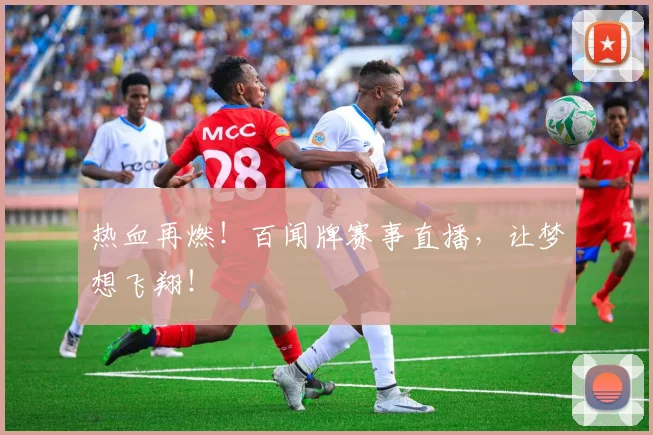 热血再燃！百闻牌赛事直播，让梦想飞翔！