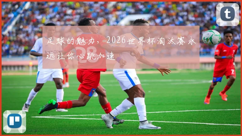 足球的魅力,2026世界杯淘汰赛永远让你心跳加速